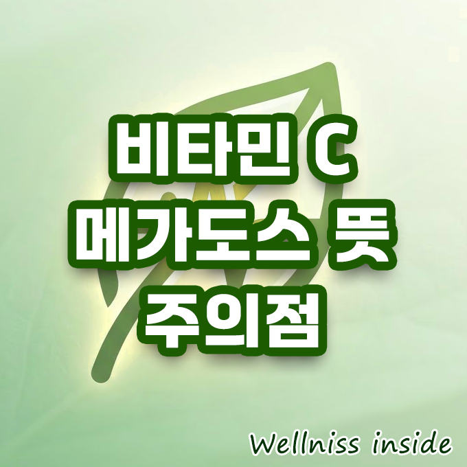 "오줌으로 다 나온다는데?" 비타민C 메가도스 뜻과 진짜 효과