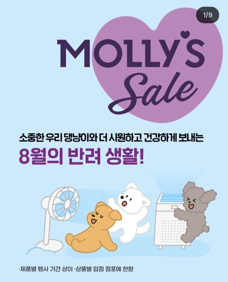 이마트 몰리스 세일 8월 반려생활 총정리, 로얄캐닌부터 쿨매트·펫보험까지 한눈에 보기