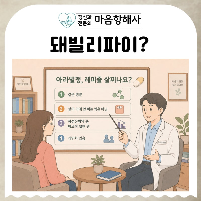 돼빌리파이라는 오명, 진짜일까? 아라빌정 레피졸 정말 살이 많이 찌는 약일까요?