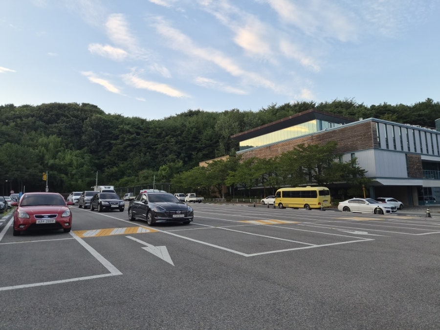 사헌 사진 5