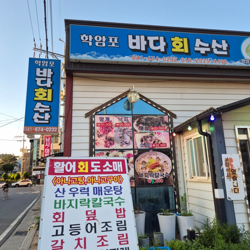 [태안] 학암포 해수욕장 맛집 추천 '학암포 바다회수산'