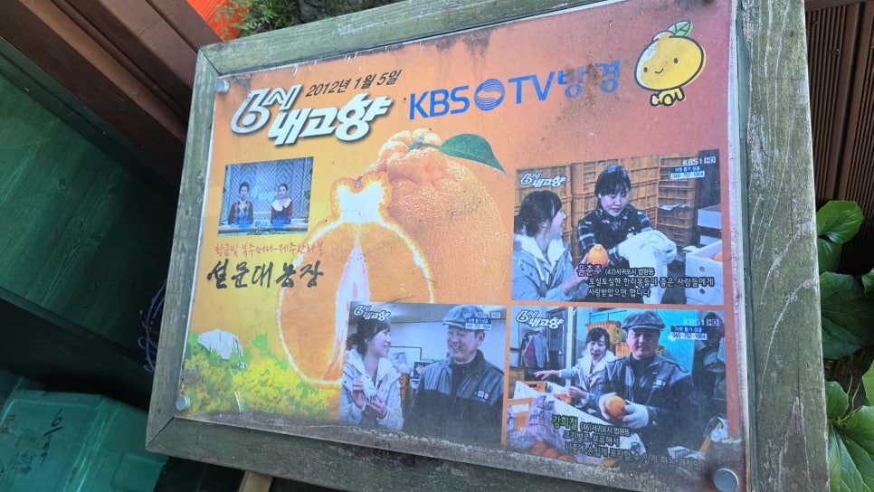 설문대농장&펜션 사진 4