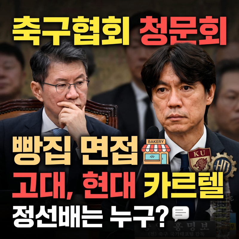 대한축구협회 청문회 정몽규 정선배 문자 홍명보 감독 빵집 면접 고대 현대 카르텔 등