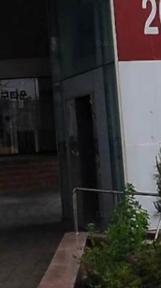 세양 사진 3