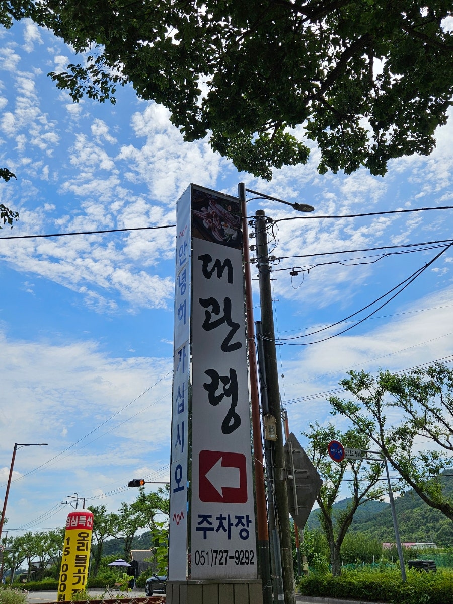 장안대관령 사진 2