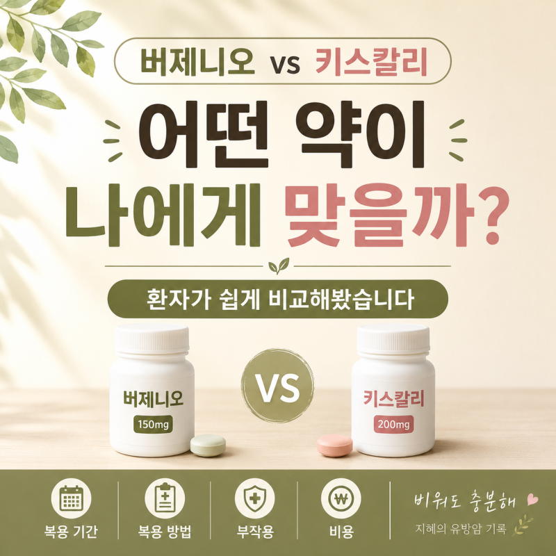 버제니오 vs 키스칼리, 어떤 약이 나에게 맞을까? 차이·부작용·비용까지