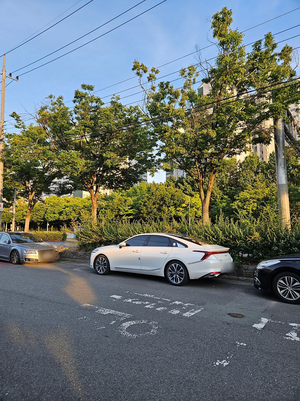 청정한우 사진 4