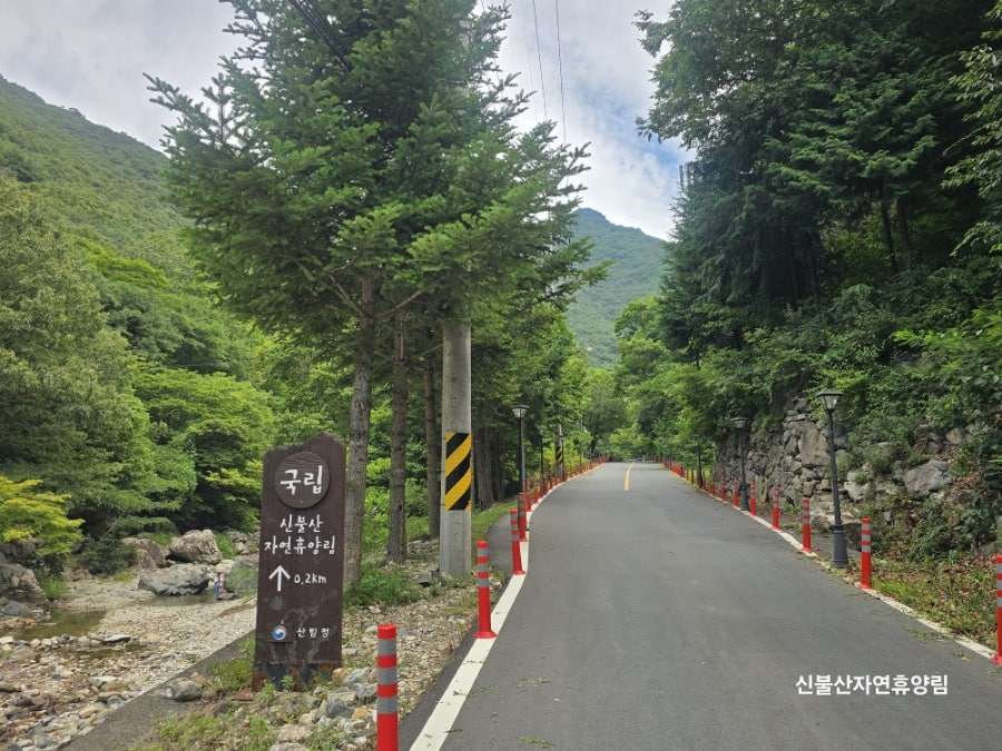 국립신불산폭포자연휴양림 사진 1