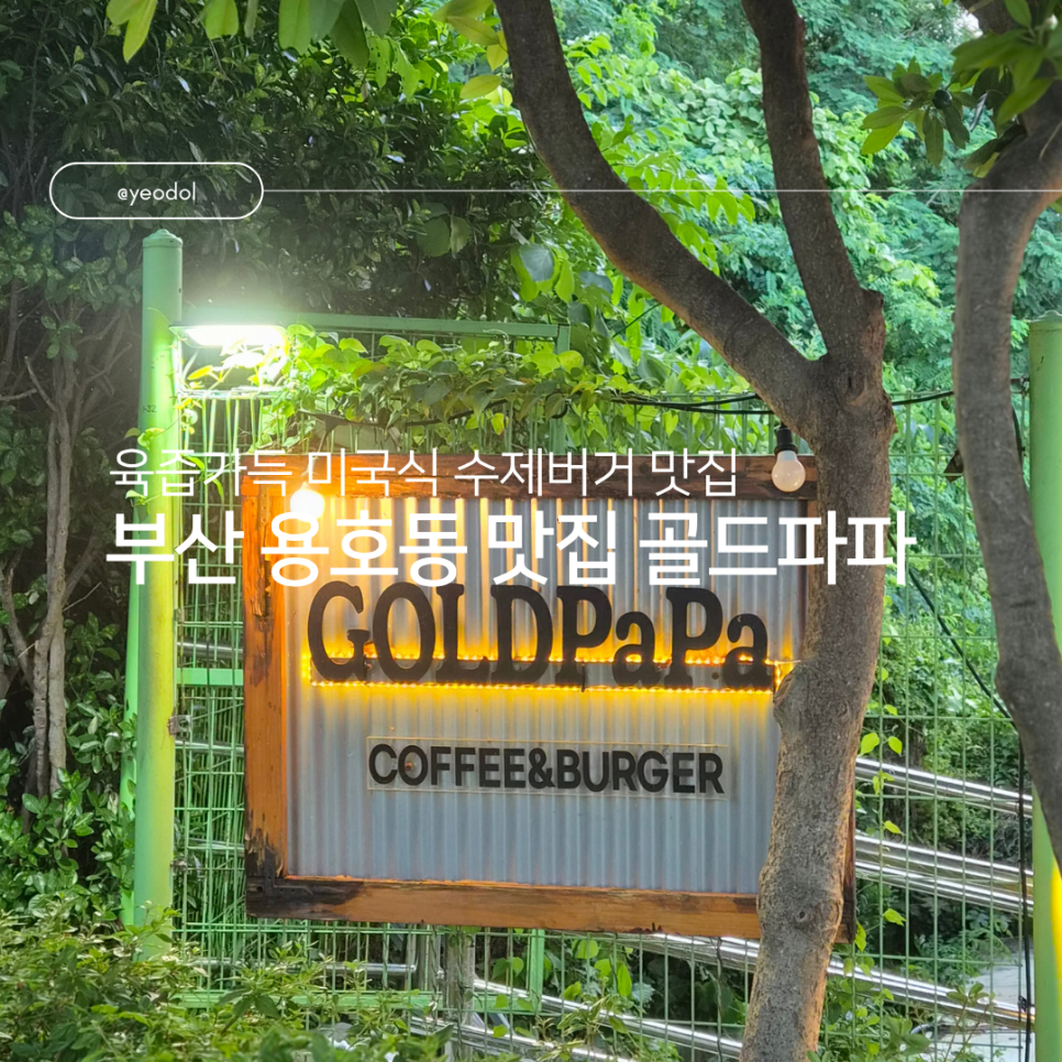 골드파파 사진 1