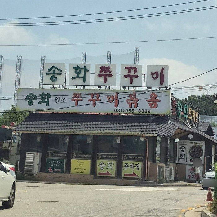 송화 사진 1