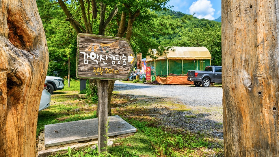 감악산캠핑숲 사진 3