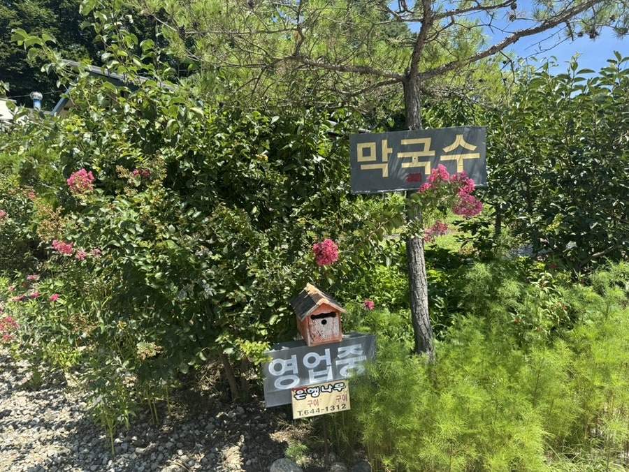 은행나무막국수 사진 2