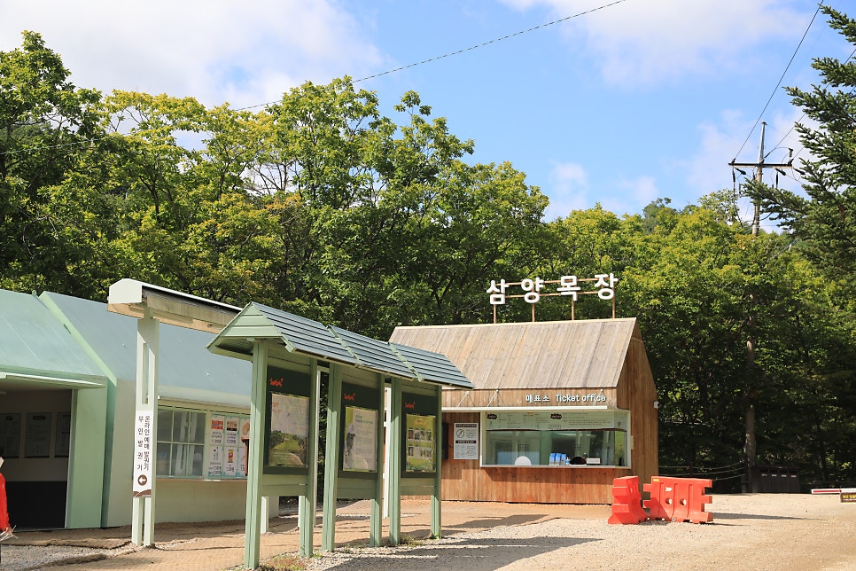 용평회관 사진 2
