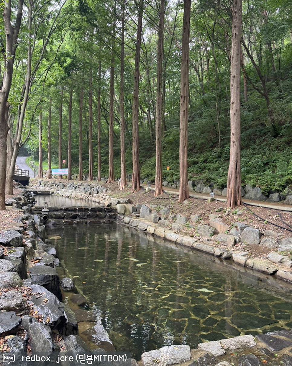 칠갑산자연휴양림 사진 6