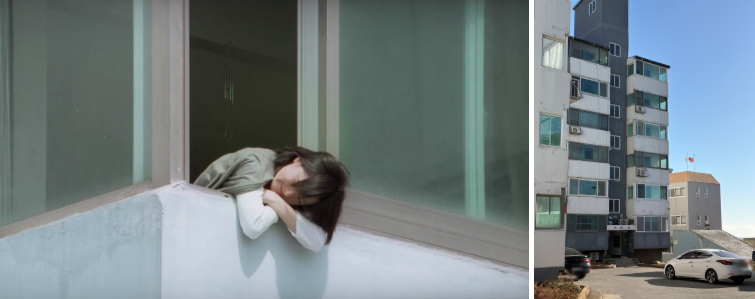 봄날 사진 5