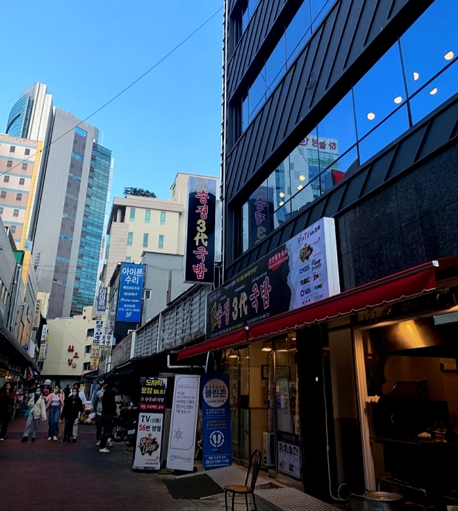 송 사진 3
