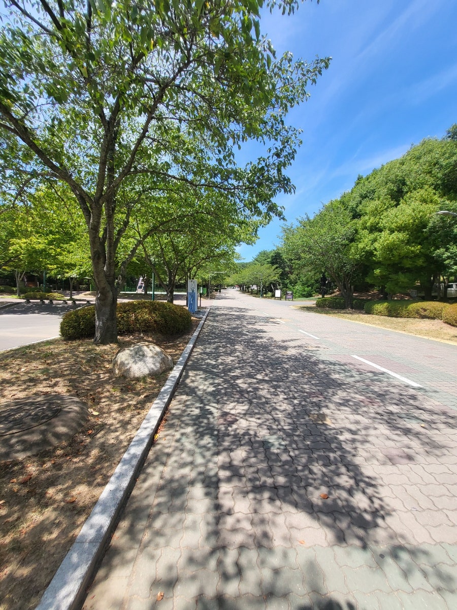 울산대공원 지관서가 사진 3