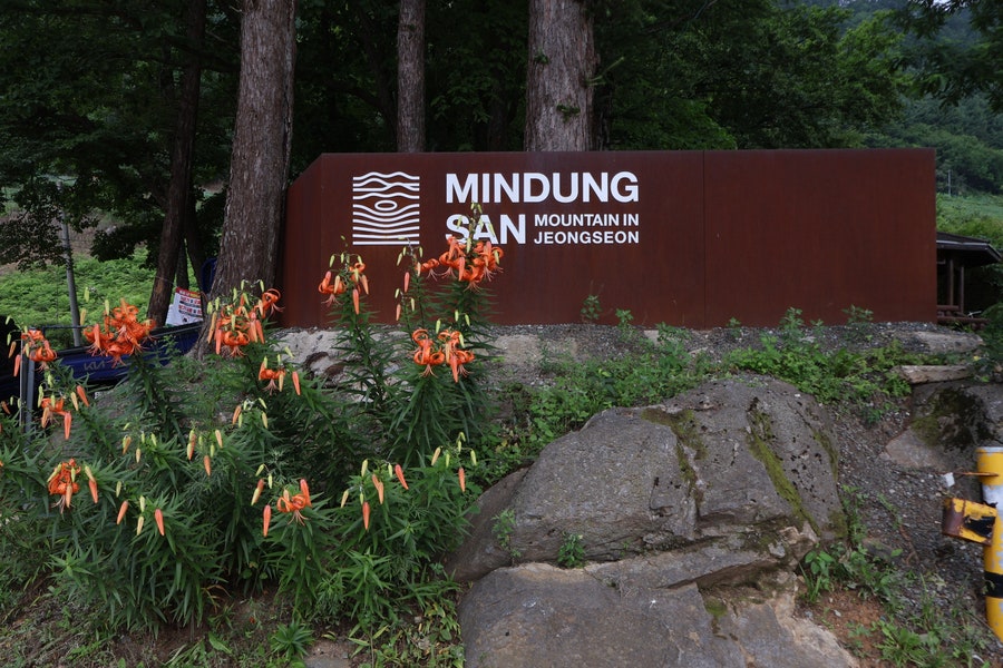 민둥산 사진 2