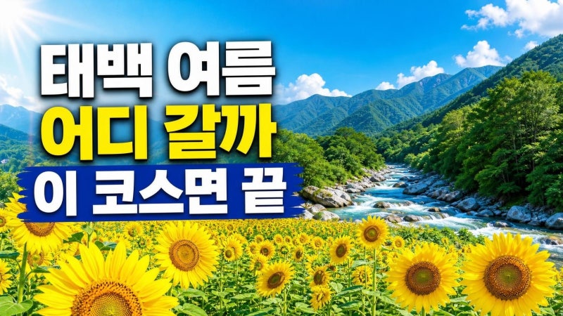 태백 가볼만한곳 여름 코스 총정리: 해바라기축제부터 전망대·계곡까지 하루 동선