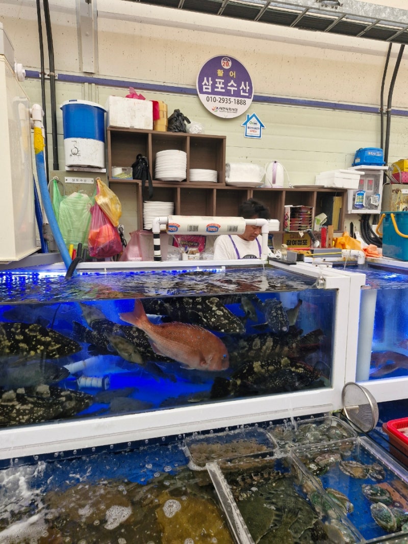 서천여행 서천 횟집 회포장 서천특화시장 삼포수산 광어 오징어회