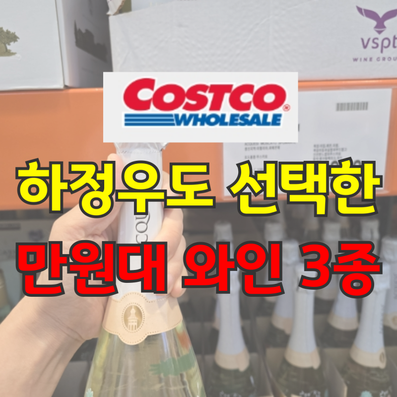 코스트코 와인 추천 하정우도 선택한 1만원대 가성비 와인 3종 총정리