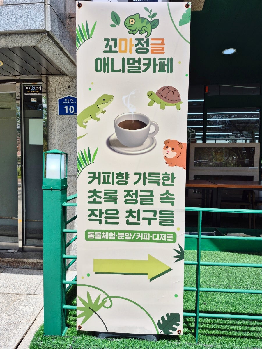 꼬마정글 사진 6