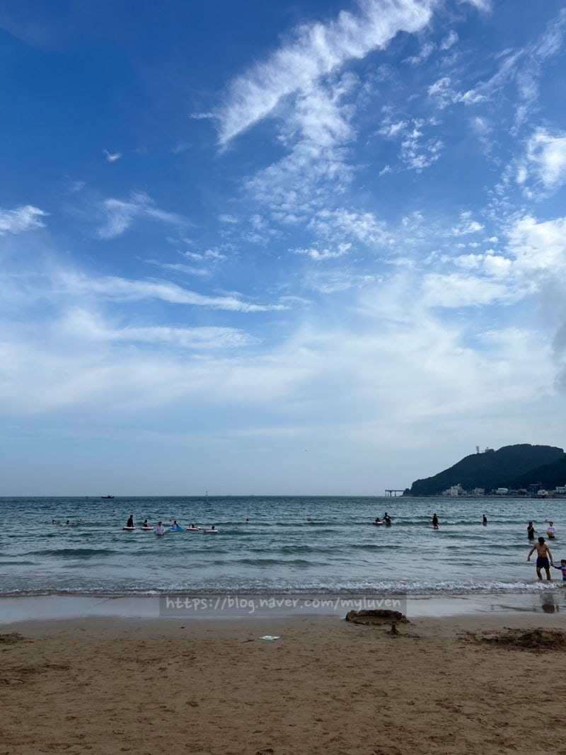 부산여행 가볼만한 곳 서핑 모래놀이하기 좋은 송정해수욕장 (주차,파라솔 비치베드 대여요....