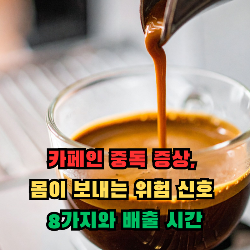 카페인 중독 증상, 몸이 보내는 위험 신호 8가지와 배출 시간