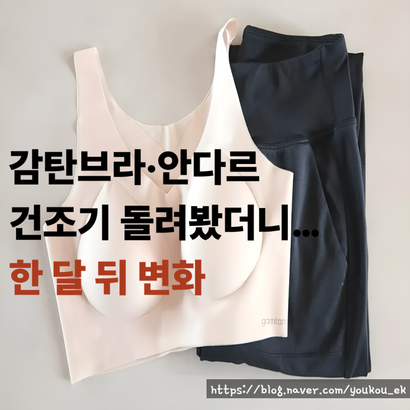 감탄브라·안다르 조거팬츠 건조기 돌려도 될까? 직접 돌려보고 후회한 이유