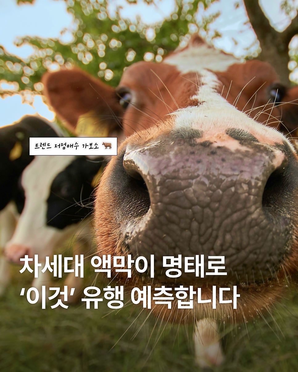 비움박물관 사진 2
