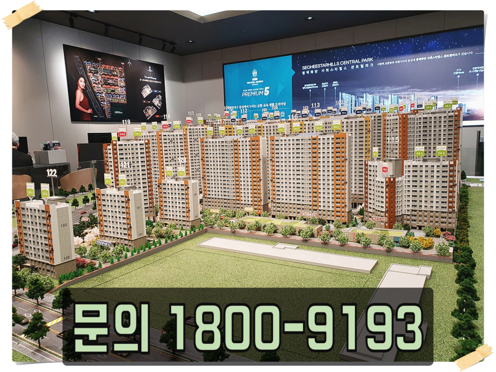 스타 사진 2