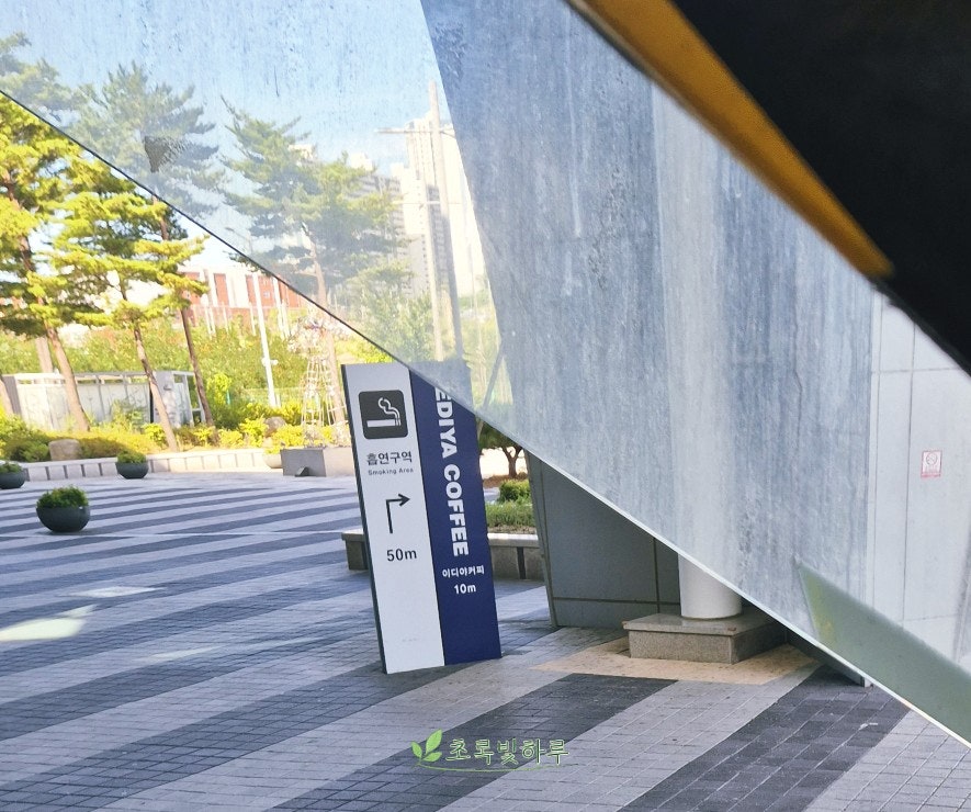 이디야커피 정동진역점 사진 1