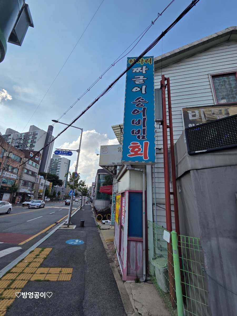 항아리짜글이송어비빔회 사진 3