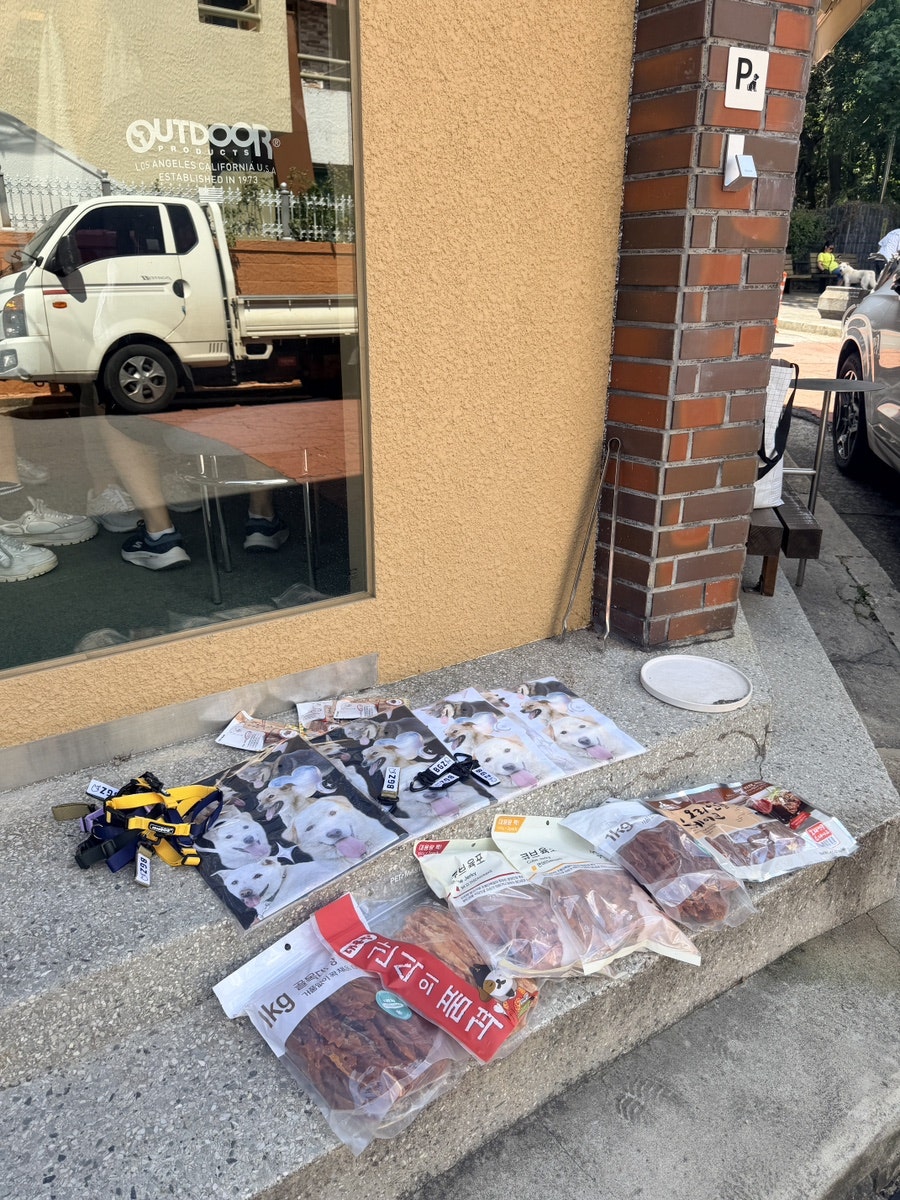 마핑고 사진 6