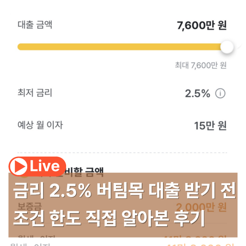 청년전용 보증부월세 버팀목 대출 받기 위해 조건 자격 한도 직접 알아본 후기 (ft.집지켜어....