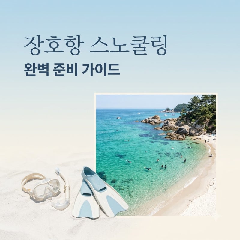 장호항 스노쿨링 완벽 가이드: 준비물, 주차, 대여 요금 및 명당 스팟 총정리