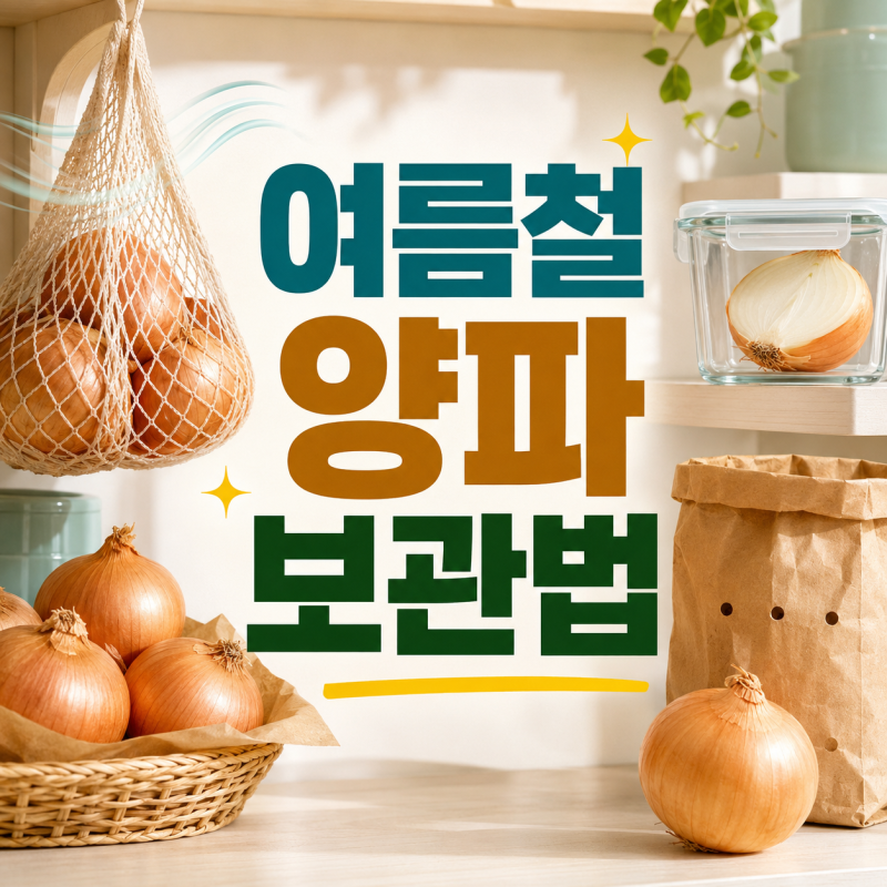 양파 오래 보관하는 법, 여름에는 실온보다 냉장이 좋을까?