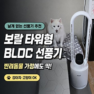 날개 없는 선풍기 추천, 보랄 타워형 BLDC선풍기 반려동물 강아지 고양이 가정에도 딱!