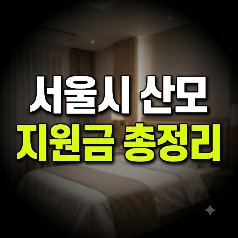 서울시 산모 신생아 건강관리 본인부담금 지원 조건 및 신청 방법 안내