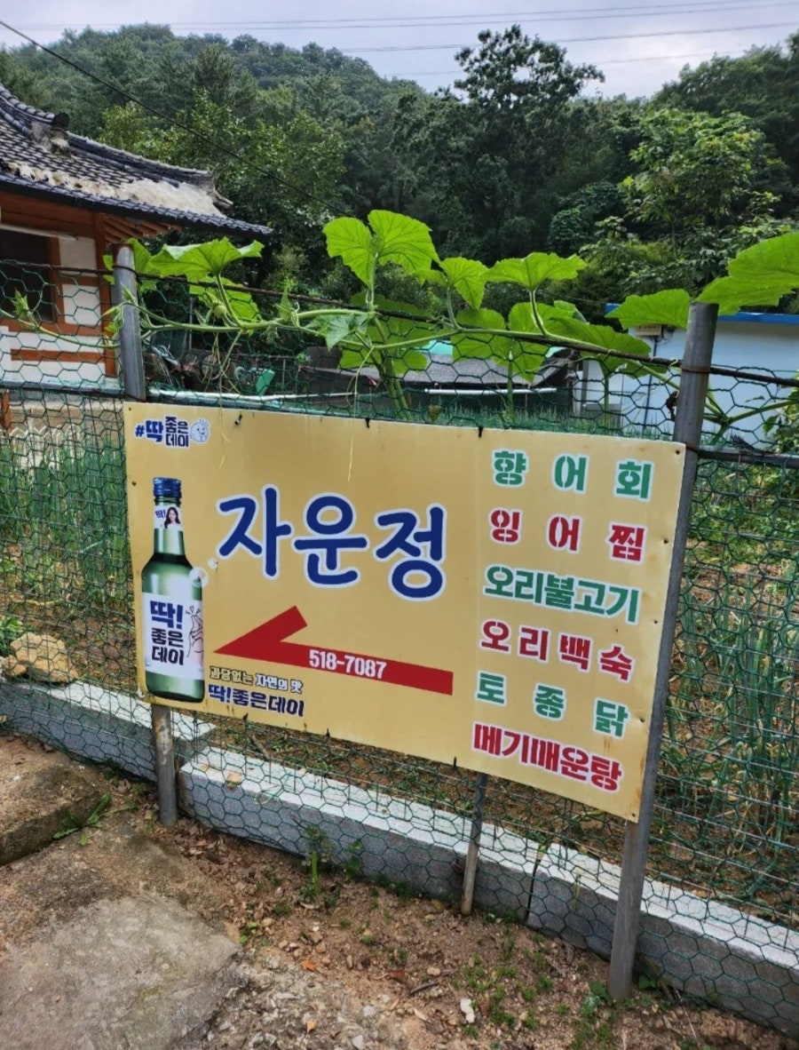 자운정 사진 1