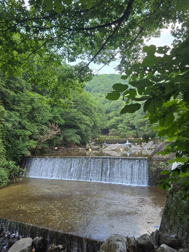 #국립유명산자연휴양림