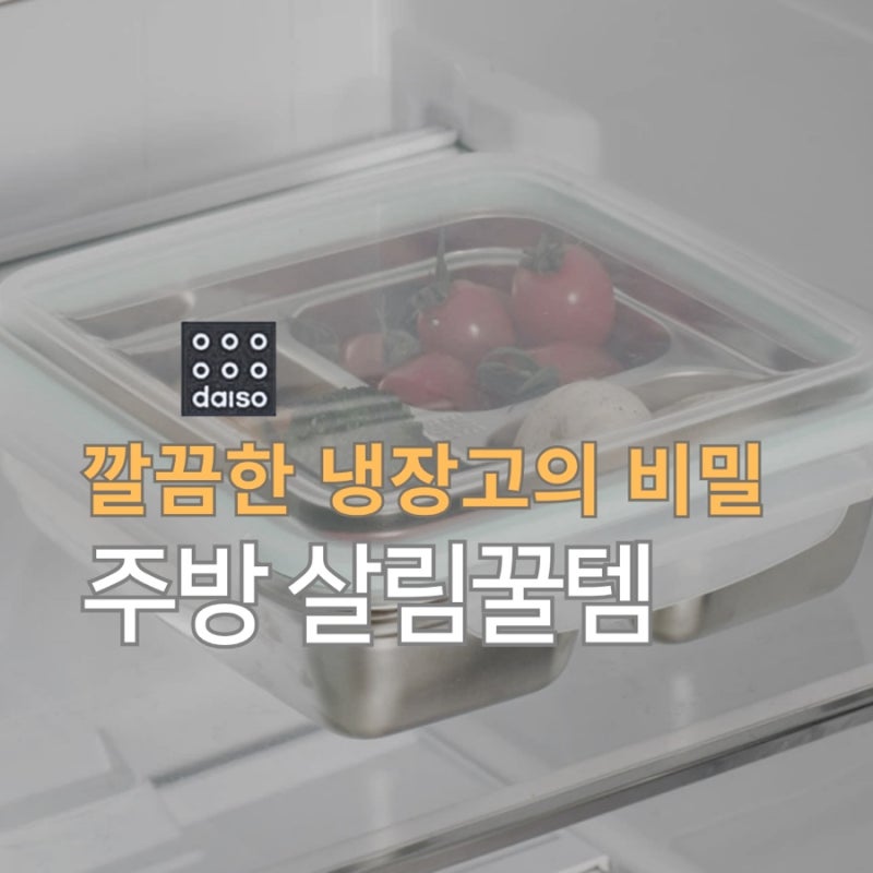 "냉장고 반찬통 테러 끝!" 다이소 살림꿀템 3칸 나눔 용기로 해결한 살림 고민