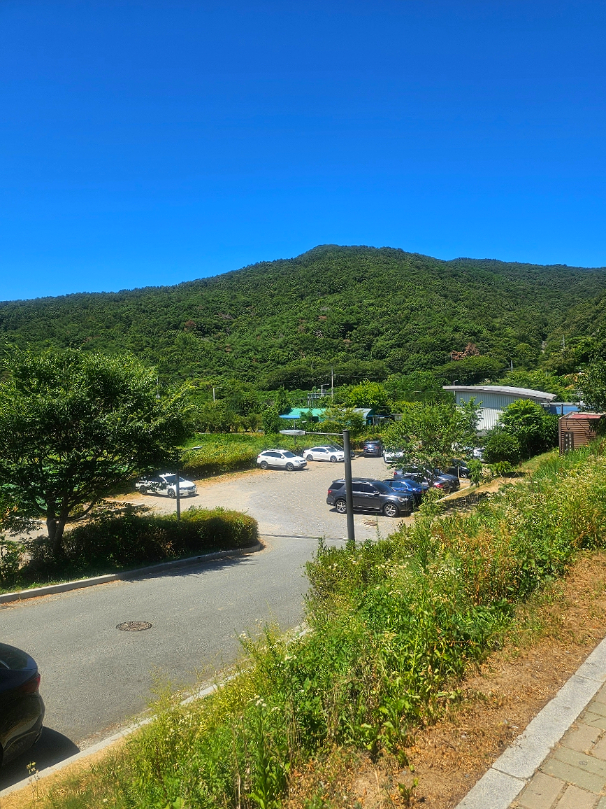 곰내연밭식당 사진 4