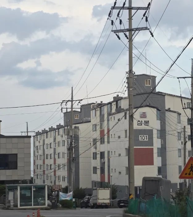 봄날 사진 3