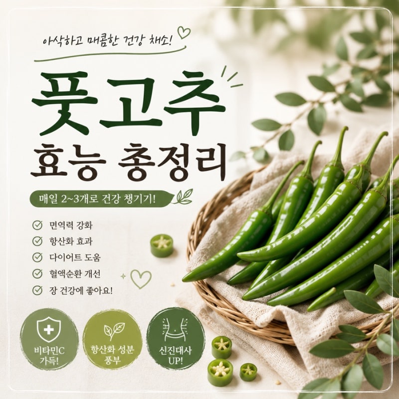 풋고추 효능, 매일 2~3개만 먹어도 좋은 이유! 비타민C가 가득한 건강 채소 풋고추