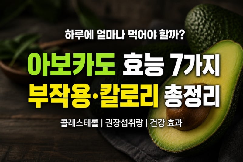 아보카도 효능과 부작용 7가지｜칼로리·콜레스테롤·하루 섭취량 총정리