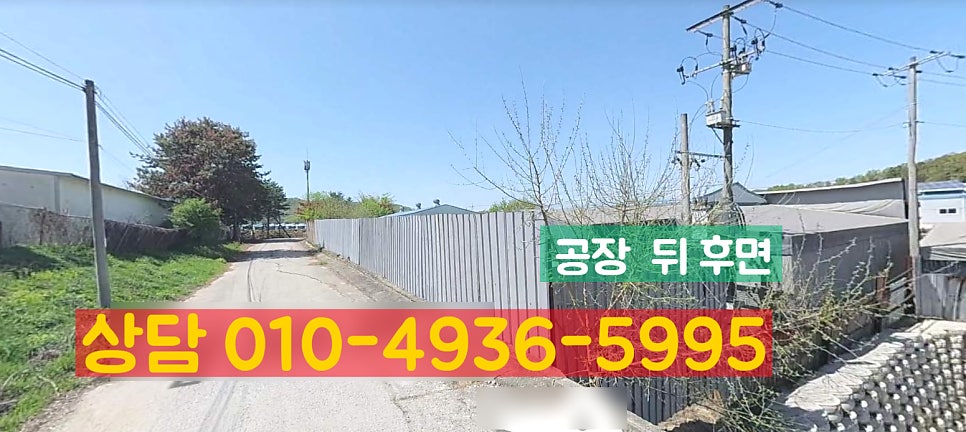 용지 사진 4