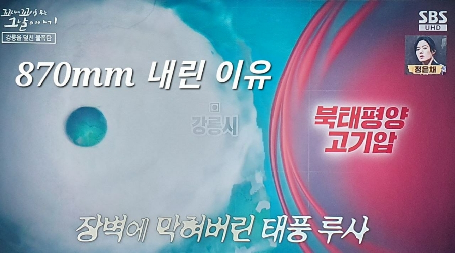 루사 사진 2