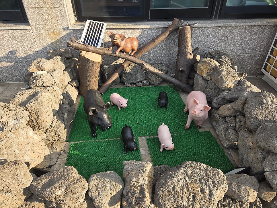 춘삼이삼춘 사진 3