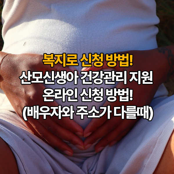 산모신생아 건강관리 지원 온라인 신청 방법! 복지로에서 5분 만에 신청하기